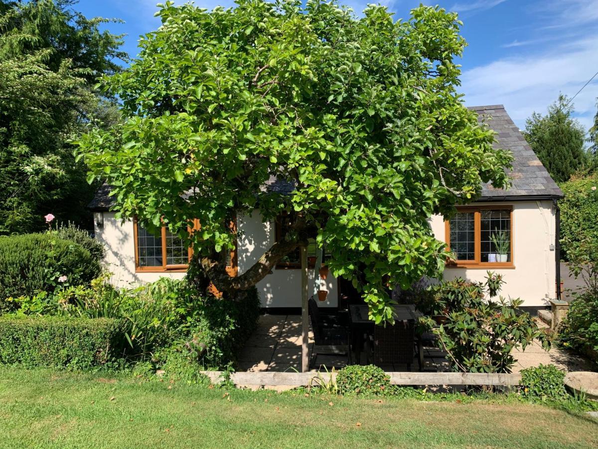 Newton Farmhouse Whiteparish Extérieur photo