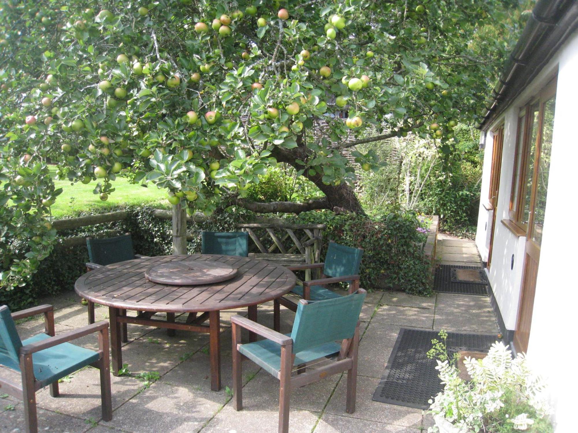 Newton Farmhouse Whiteparish Extérieur photo