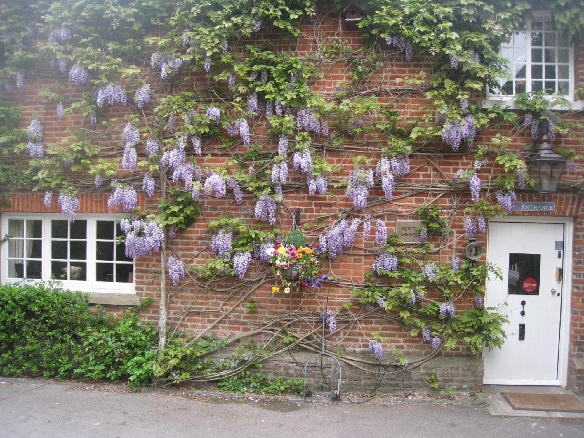 Newton Farmhouse Whiteparish Extérieur photo